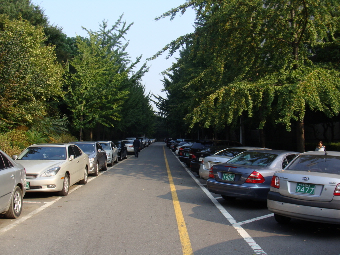 1차 서울 도시탐방