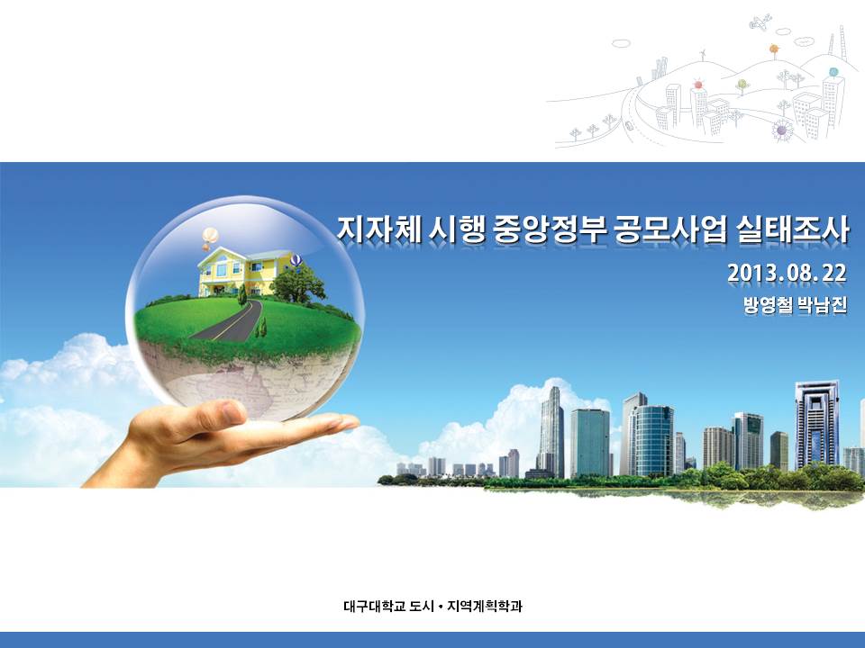 2013.8.5~22 지자체 시행 중앙정부 공모사업 실태조사